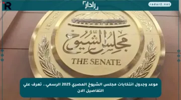موعد وجدول انتخابات مجلس الشيوخ المصري 2025 الرسمي.. تعرف على التفاصيل الآن